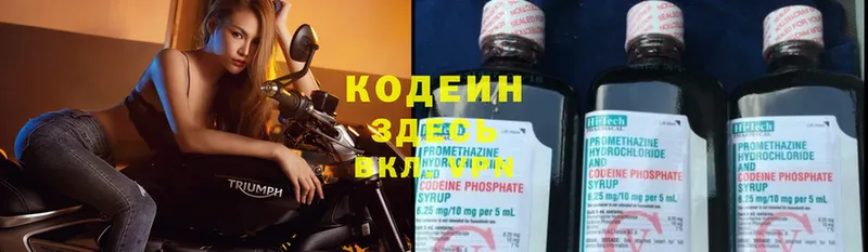 Кодеиновый сироп Lean Purple Drank  где купить наркотик  Никольское 